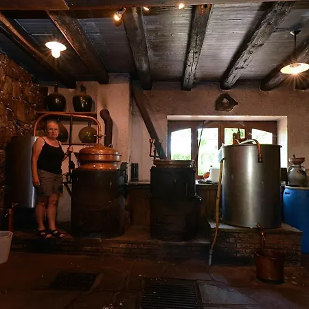 Appartement S'harzala